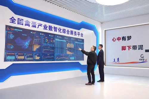 蛋生數智夢，科技孵未來 金融賦能農業科技蝶變